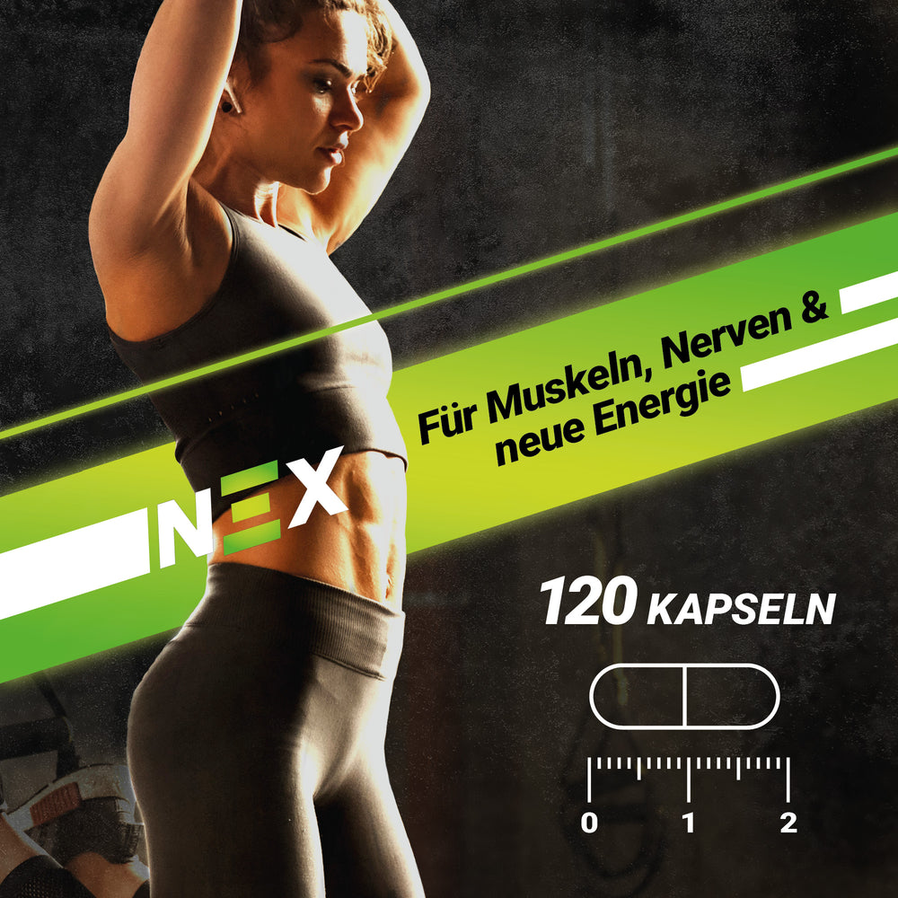 
                      
                        NEX Magnesium Bisglycinate Kapseln
                      
                    