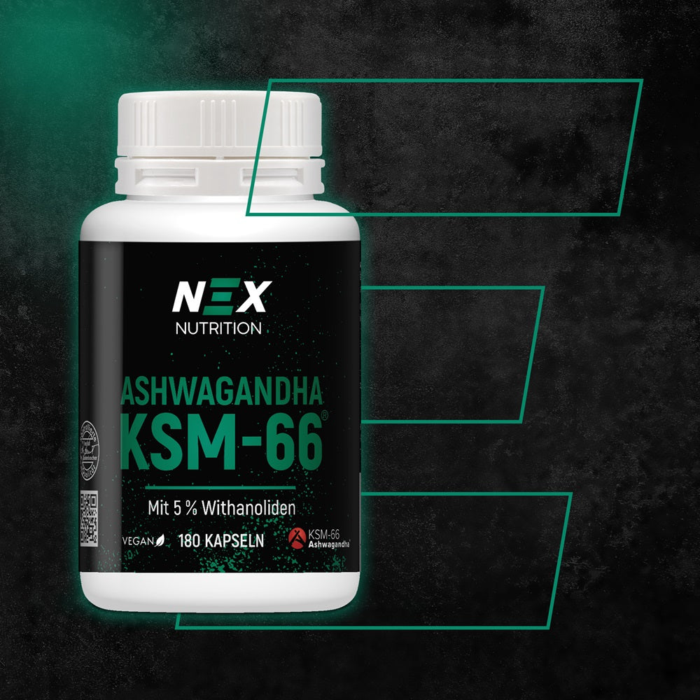 
                      
                        NEX Ashwagandha KSM-66 Kapseln
                      
                    