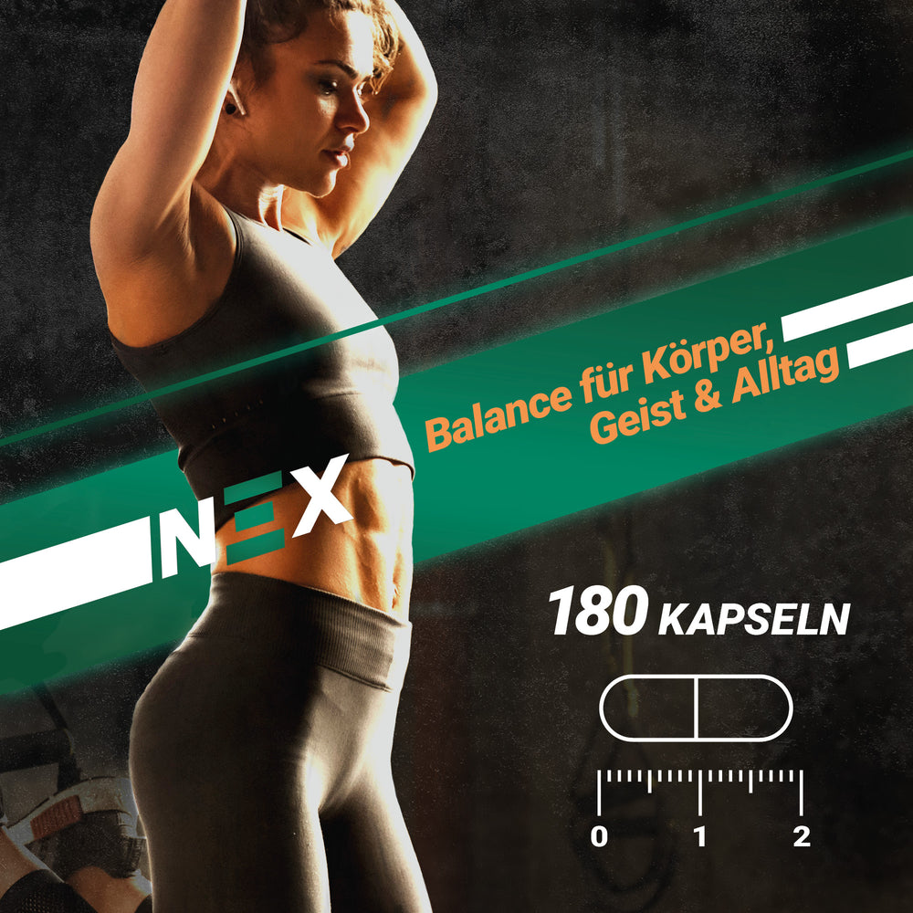 
                      
                        NEX Ashwagandha KSM-66 Kapseln
                      
                    